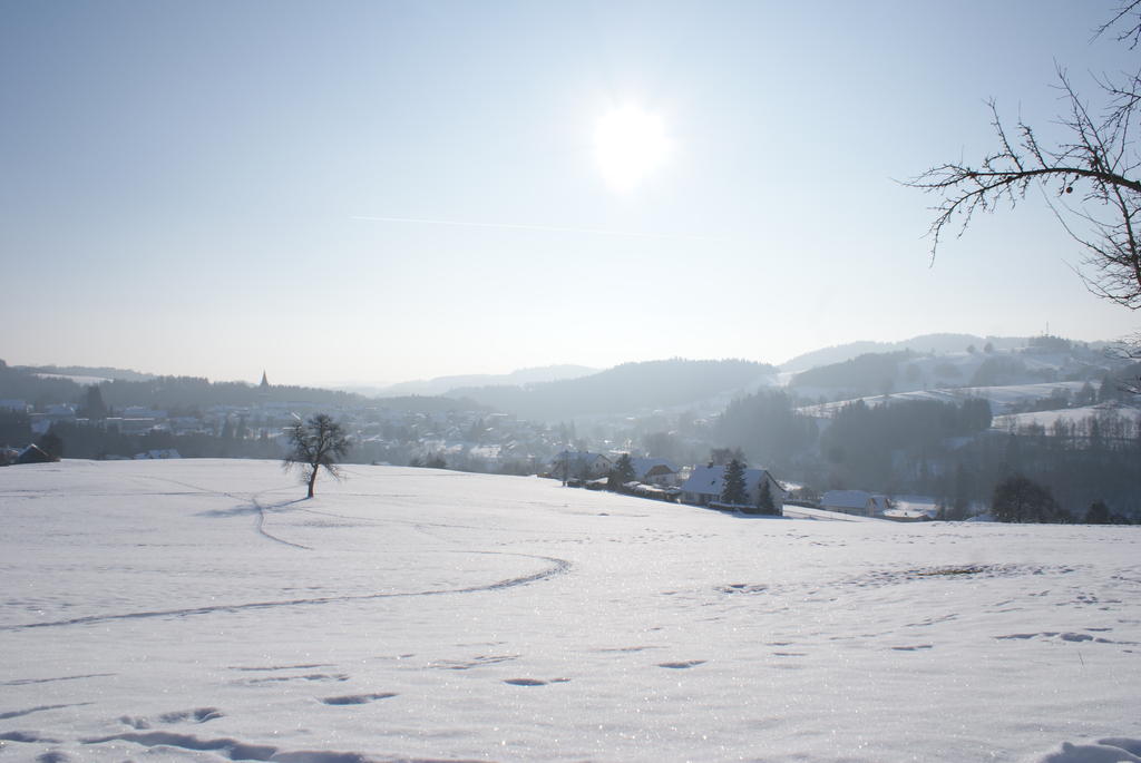 Haslach an der Mühl Gasthof 'Zum Alten Turm' מראה חיצוני תמונה