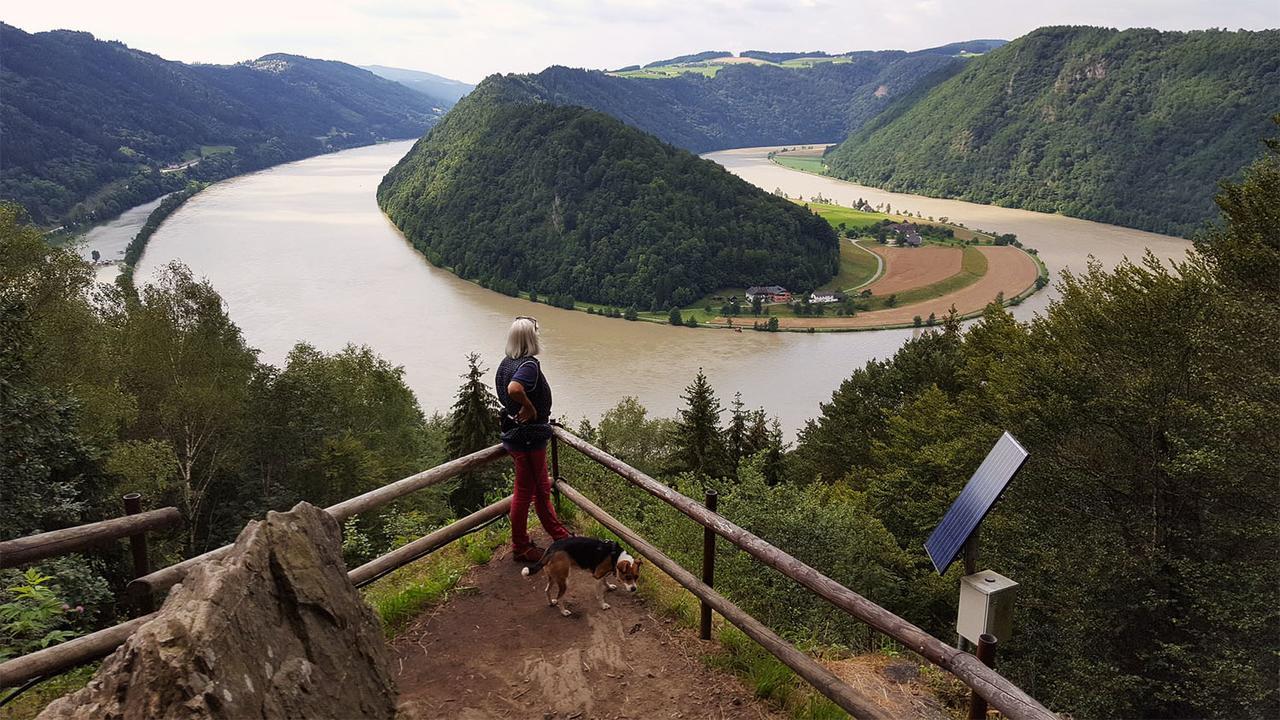 Haslach an der Mühl Gasthof 'Zum Alten Turm' מראה חיצוני תמונה